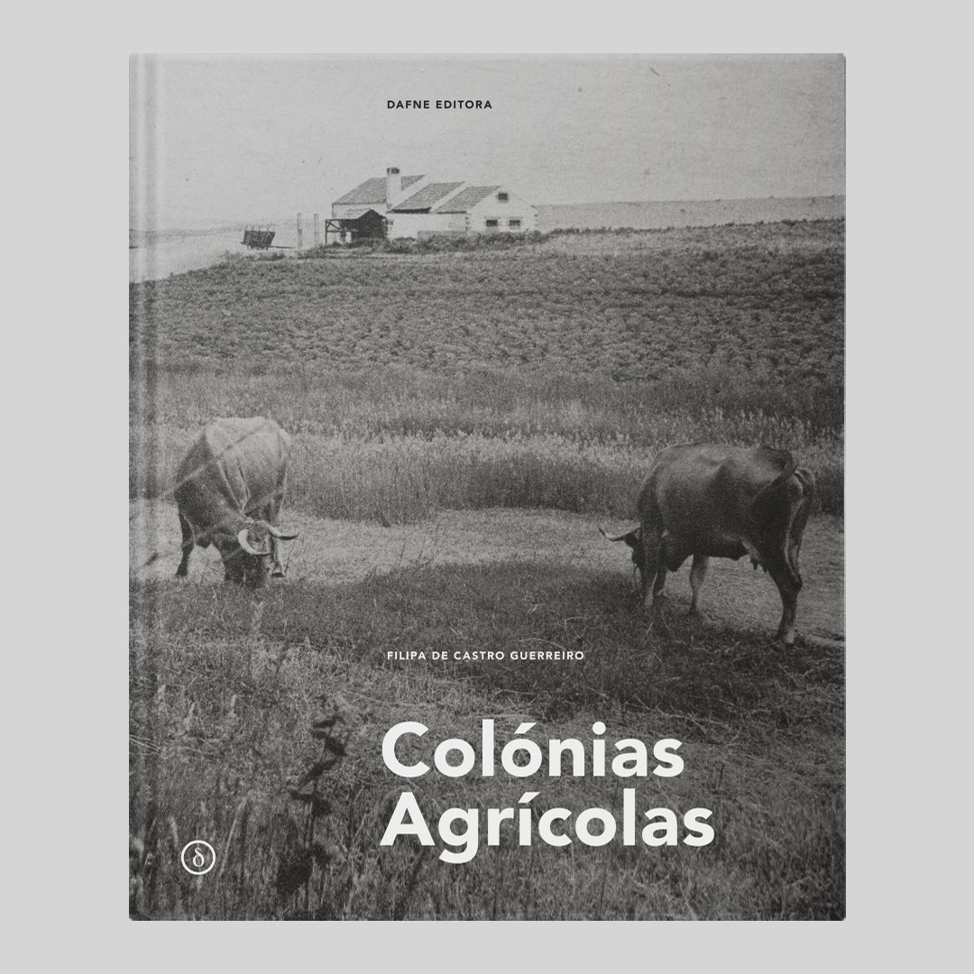 Colónias Agrícolas  A Arquitectura entre o Doméstico e o Território, 19361960