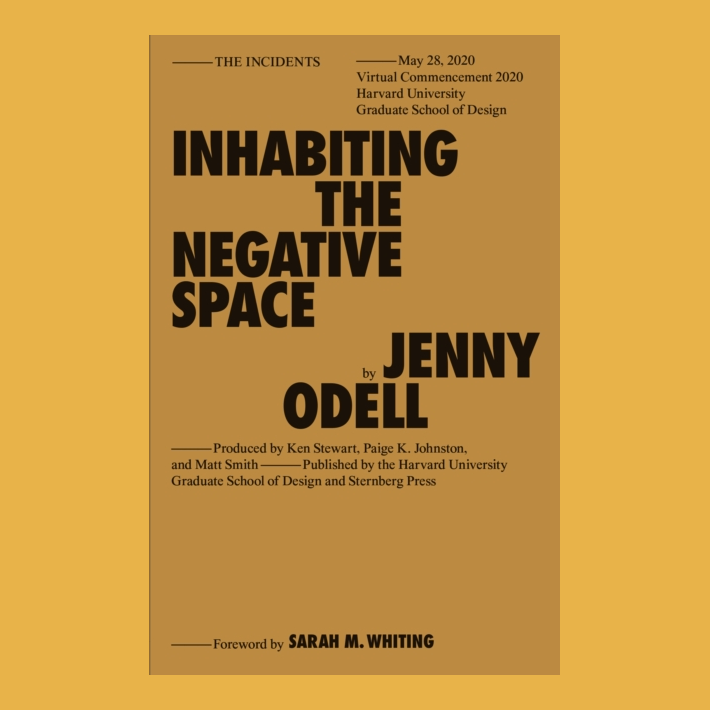 Inhabiting the Negative Space 