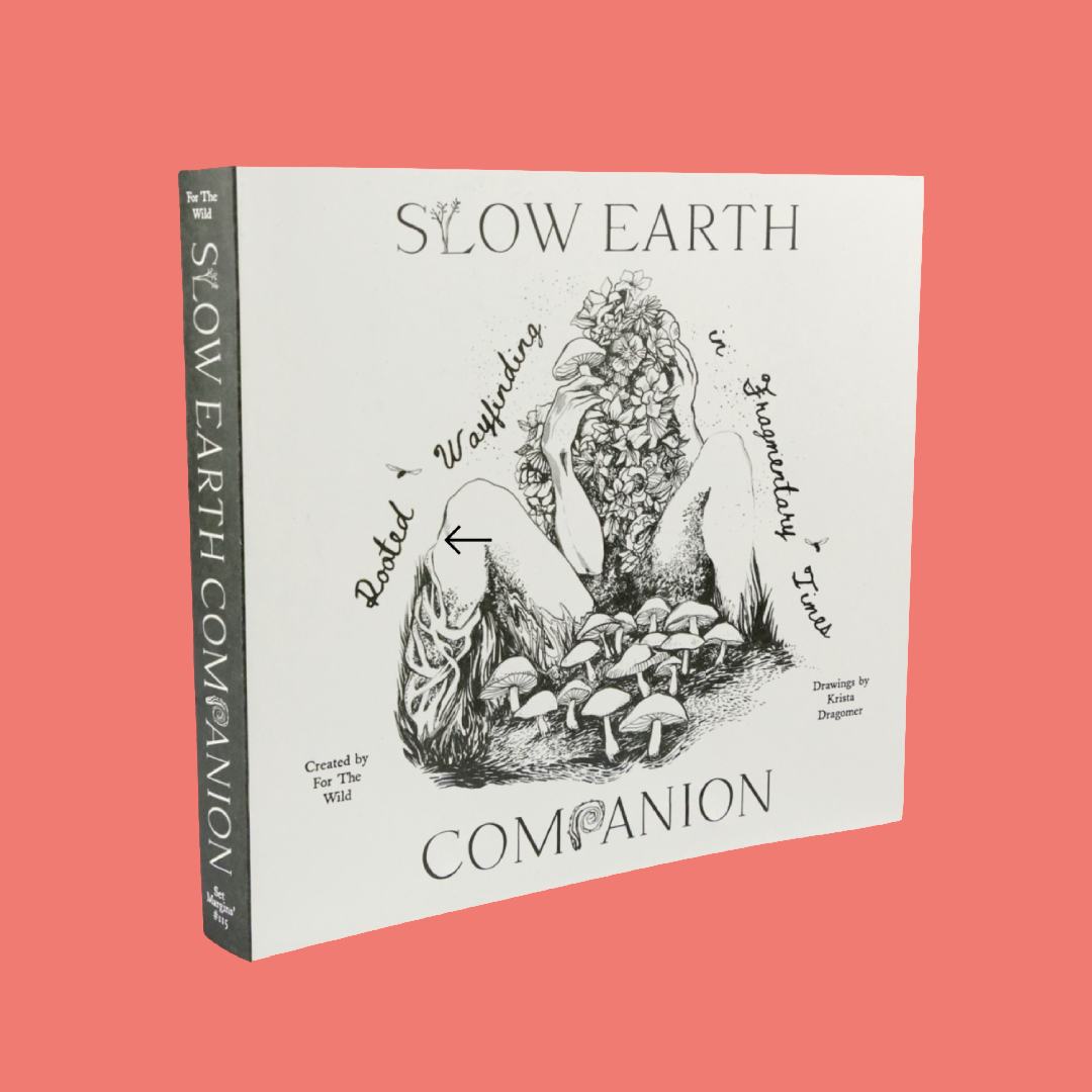 Slow Earth Companion - Rooted Wayfinding in Fragmentary times