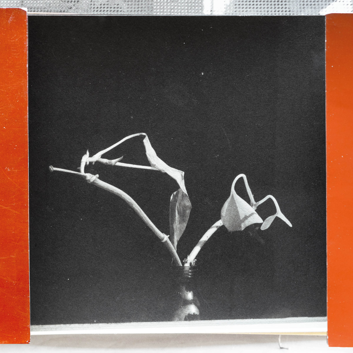 On A Tuesday And A Wednesday