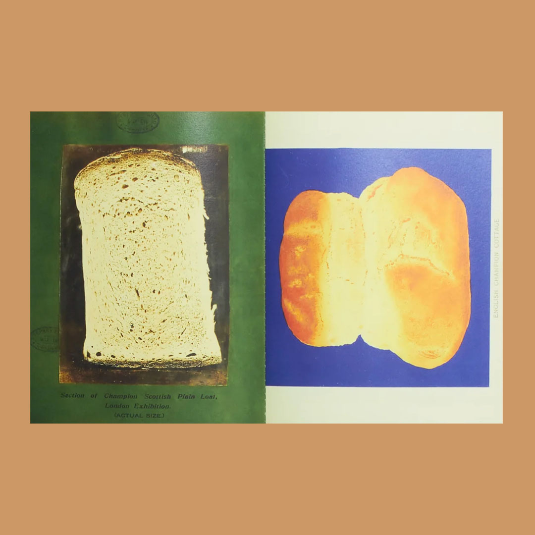 Simil� #2 The Book of Bread