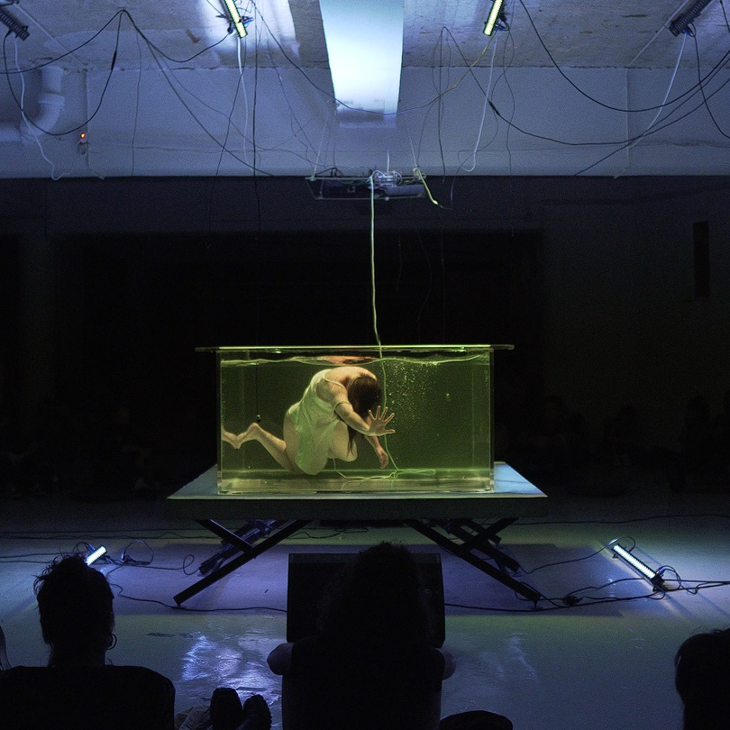 Echoes from a Liquid Memory