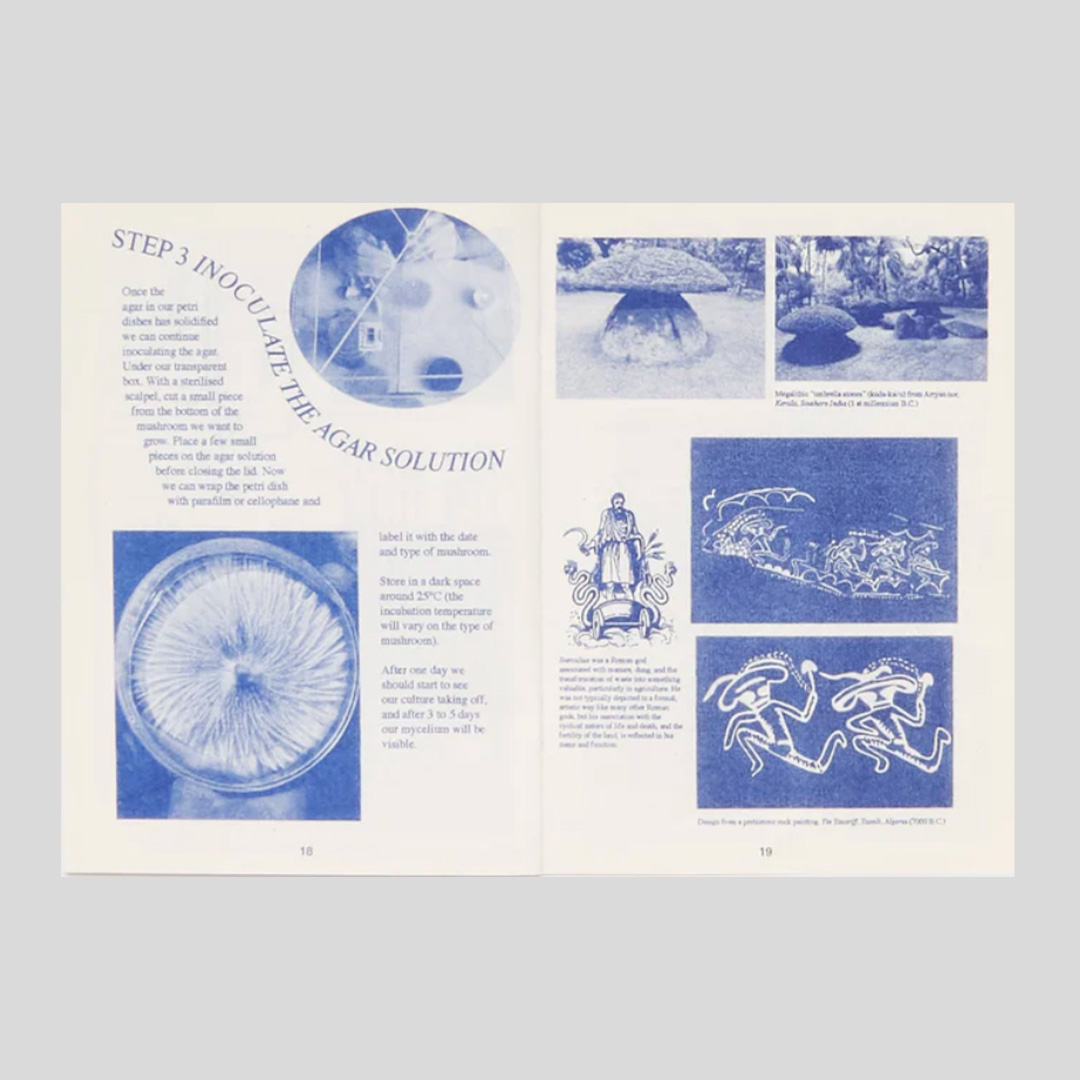 How To Make Objects With Mycelium