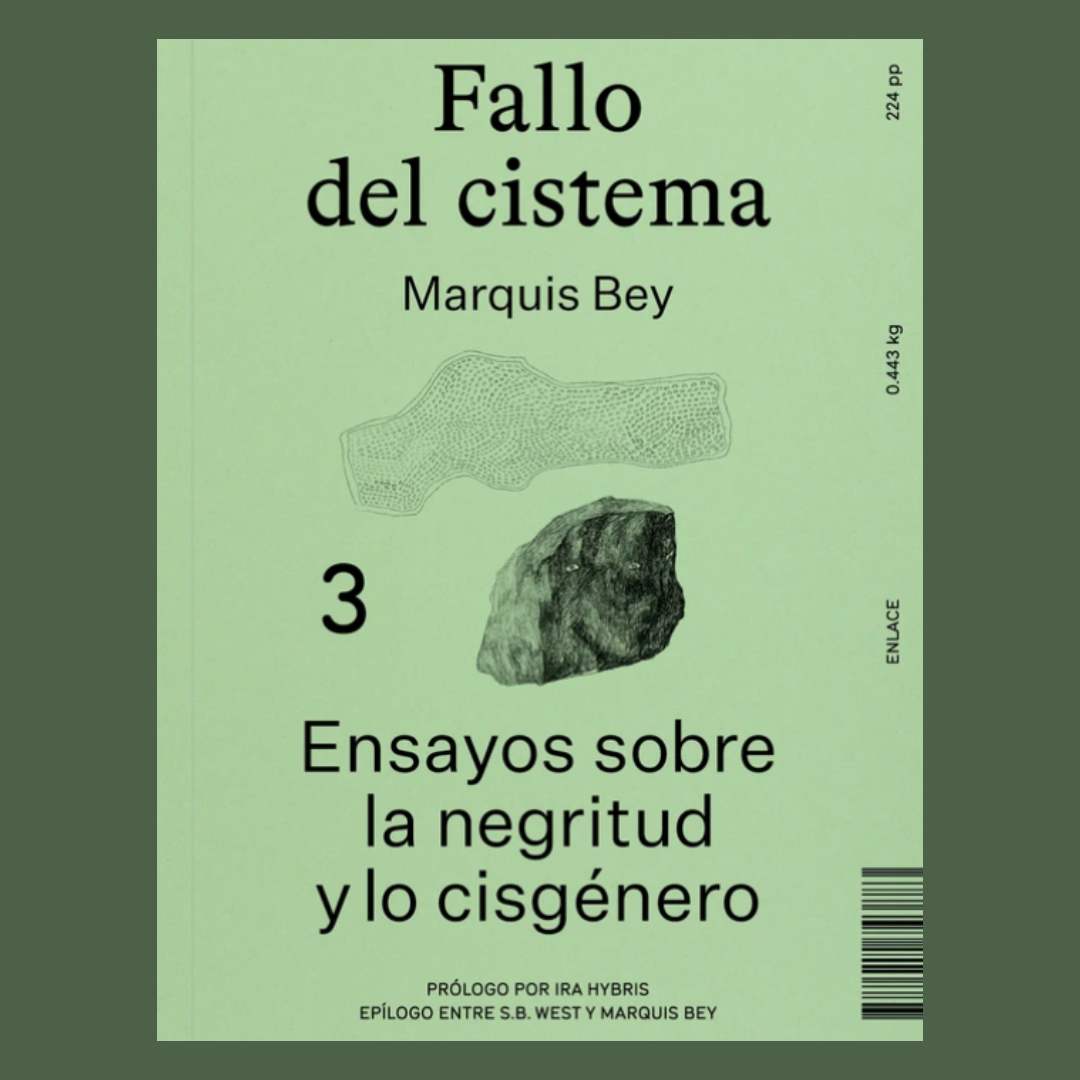 Fallo del cistema