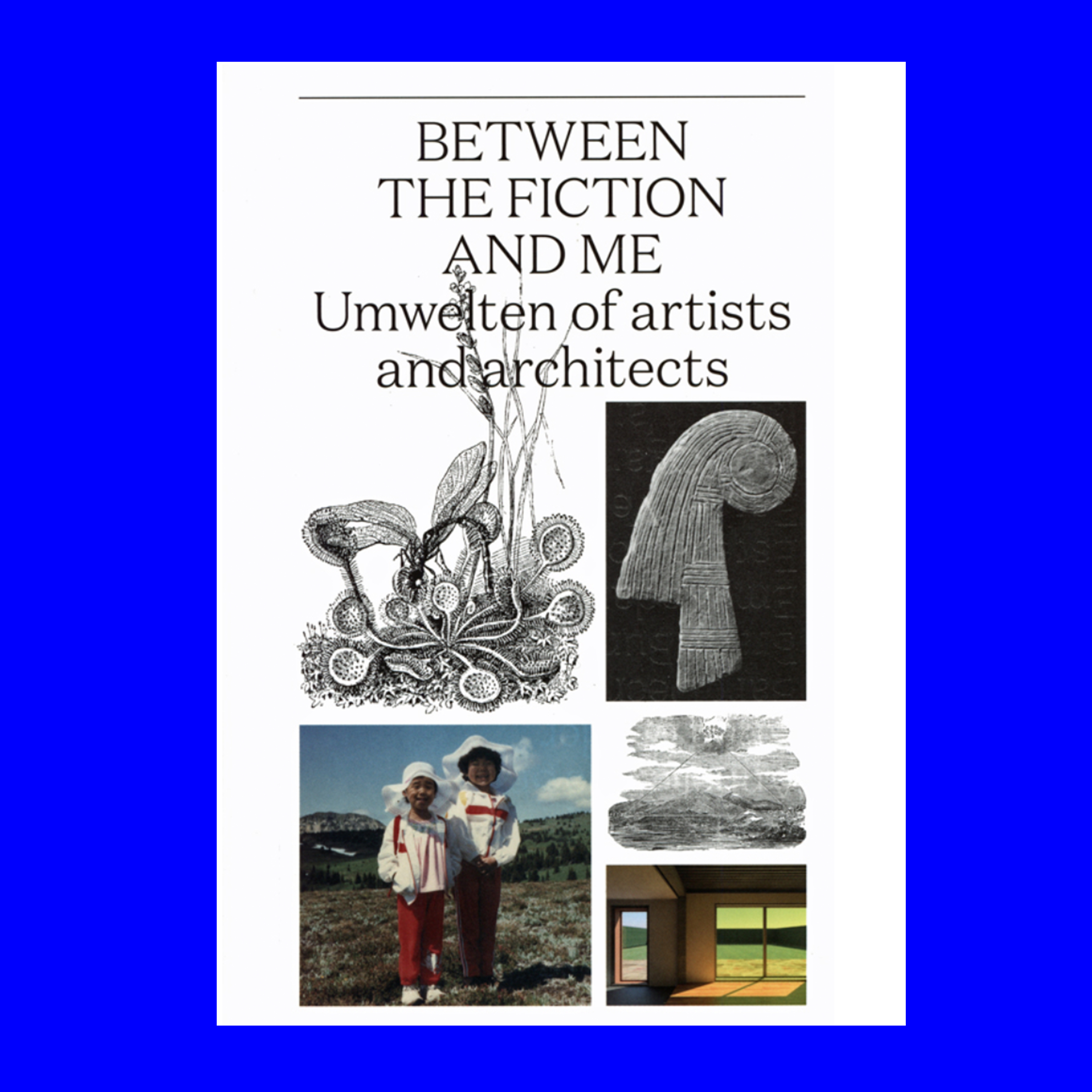 Between The Fiction And Me - Umwelten Of Artists And Architects slide 3 of 2