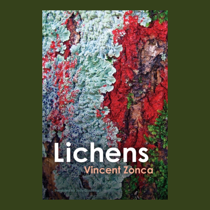 Lichens : Toward a Minimal Resistance