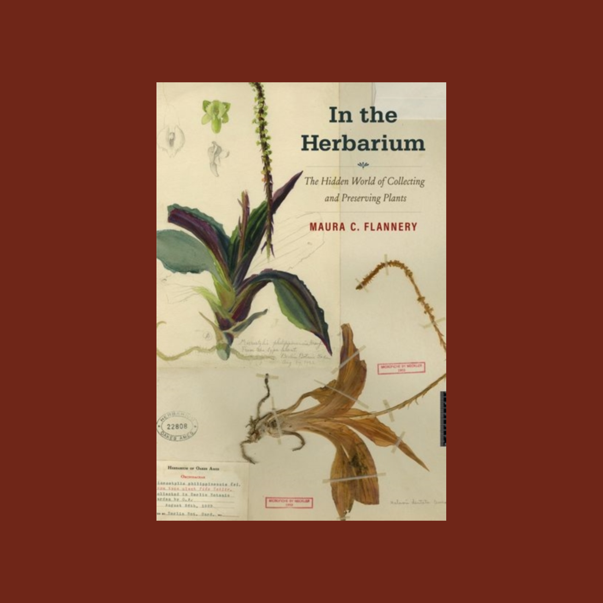 In the Herbarium : The Hidden World of Collecting and Preserving Plants