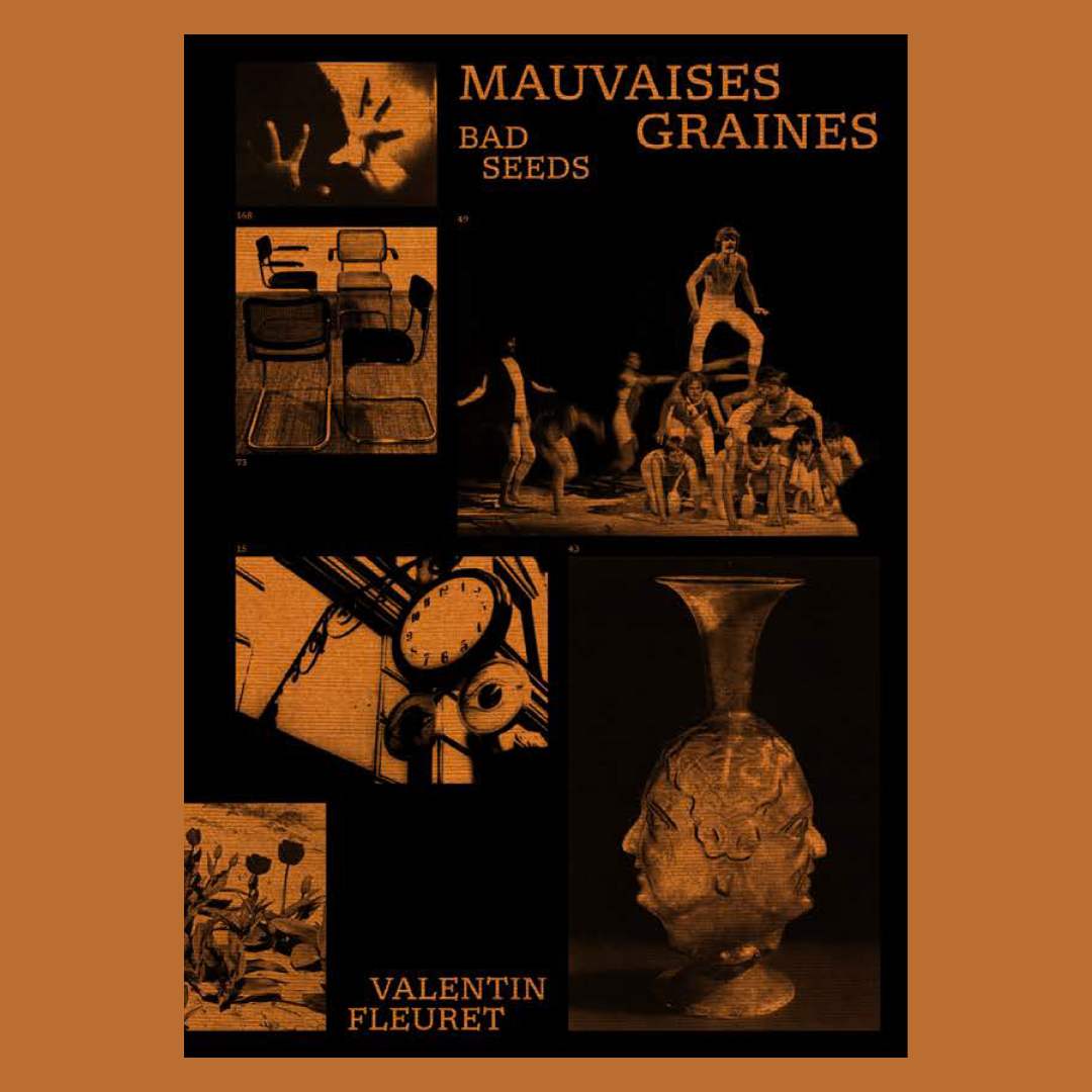 Mauvaises Graines