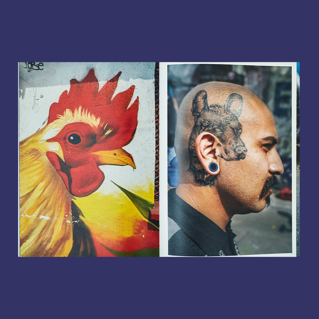 Pablo Ortiz Monasterio: Tenochtitlan