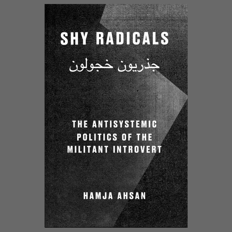  Shy Radicals: The Antisystemic Politics Of The Militant Introvert