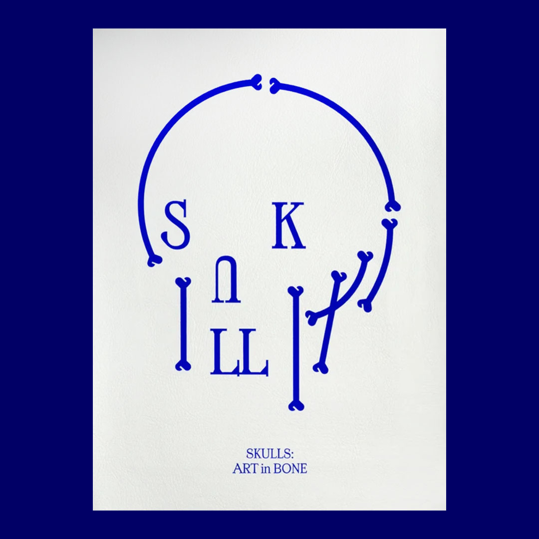 Skulls: Art In Bone
