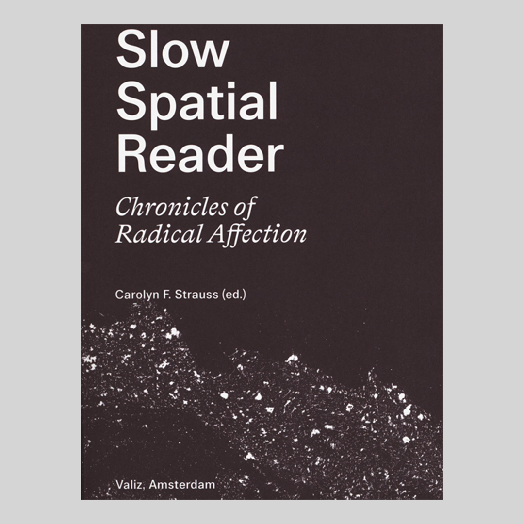 Slow Spatial Reader - Chronicles of Radical Affection 